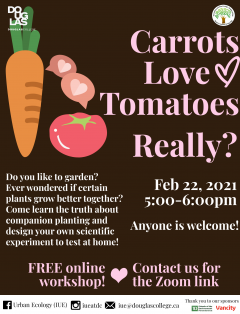 February 22, 2021.  Companion planting poster